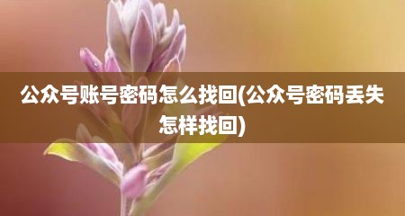公众号账号密码怎么找回(公众号密码丢失怎样找回)
