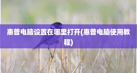 惠普电脑设置在哪里打开(惠普电脑使用教程)