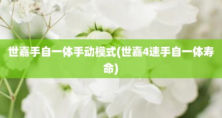 世嘉手自一体手动模式(世嘉4速手自一体寿命)