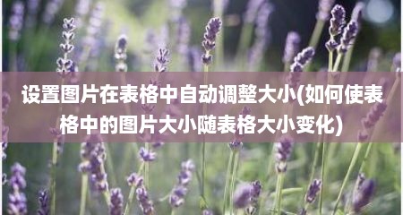 设置图片在表格中自动调整大小(如何使表格中的图片大小随表格大小变化)