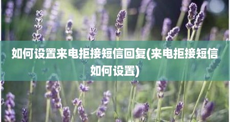 如何设置来电拒接短信回复(来电拒接短信如何设置)