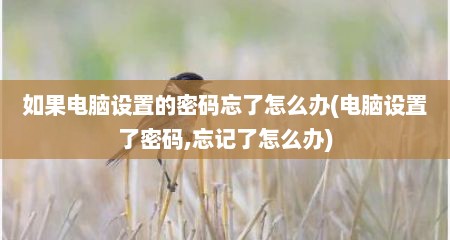 如果电脑设置的密码忘了怎么办(电脑设置了密码,忘记了怎么办)