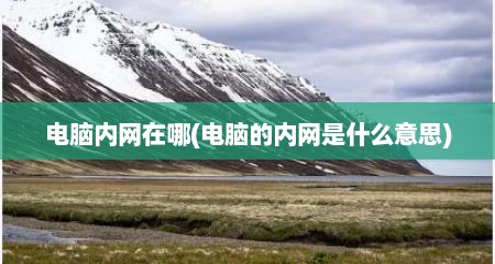 电脑内网在哪(电脑的内网是什么意思)