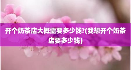 开个奶茶店大概需要多少钱?(我想开个奶茶店要多少钱)