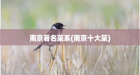 南京著名菜系(南京十大菜)