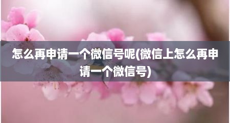 怎么再申请一个微信号呢(微信上怎么再申请一个微信号)