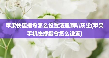 苹果快捷指令怎么设置清理喇叭灰尘(苹果手机快捷指令怎么设置)