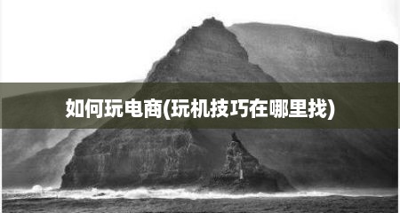 如何玩电商(玩机技巧在哪里找)