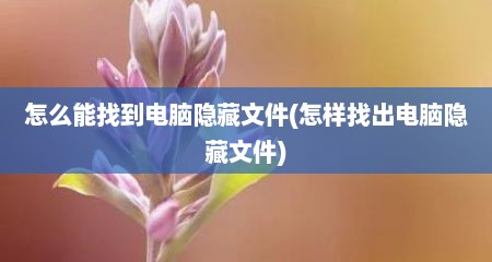 怎么能找到电脑隐藏文件(怎样找出电脑隐藏文件)