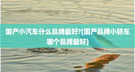 国产小汽车什么品牌最好?(国产品牌小轿车哪个品牌最好)