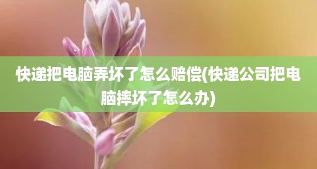 快递把电脑弄坏了怎么赔偿(快递公司把电脑摔坏了怎么办)