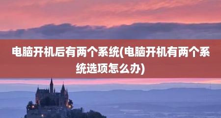 电脑开机后有两个系统(电脑开机有两个系统选项怎么办)