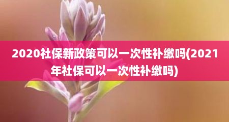 2020社保新政策可以一次性补缴吗(2021年社保可以一次性补缴吗)