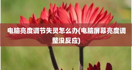电脑亮度调节失灵怎么办(电脑屏幕亮度调整没反应)