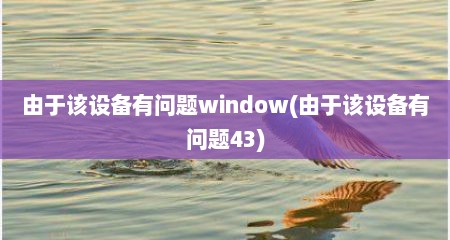 由于该设备有问题window(由于该设备有问题43)