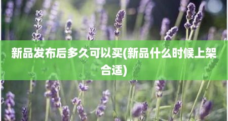 新品发布后多久可以买(新品什么时候上架合适)