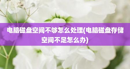 电脑磁盘空间不够怎么处理(电脑磁盘存储空间不足怎么办)