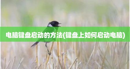 电脑键盘启动的方法(键盘上如何启动电脑)