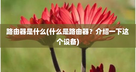 路由器是什么(什么是路由器？介绍一下迟个设备)