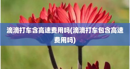 滴滴打车含高速费用吗(滴滴打车包含高速费用吗)