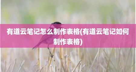 有道云笔记怎么制作表格(有道云笔记如何制作表格)
