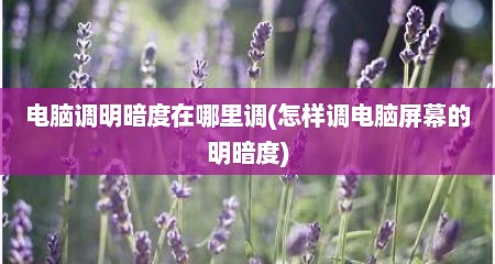 电脑调明暗度在哪里调(怎样调电脑屏幕的明暗度)