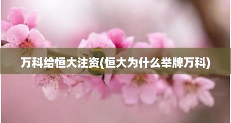 万科给恒大注资(恒大为什么举牌万科)