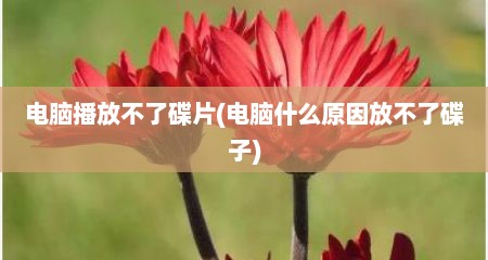 电脑播放不了碟片(电脑什么原因放不了碟子)