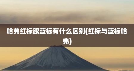 哈弗红标跟蓝标有什么区别(红标与蓝标哈弗)
