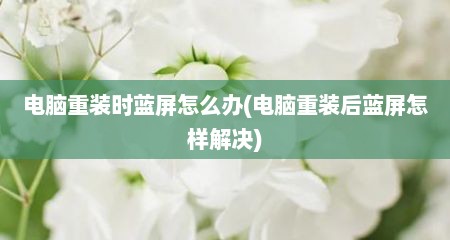 电脑重装时蓝屏怎么办(电脑重装后蓝屏怎样解决)