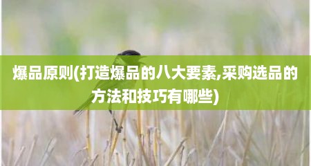 爆品原则(打造爆品的八大要素,采购选品的方法和技巧有哪些)