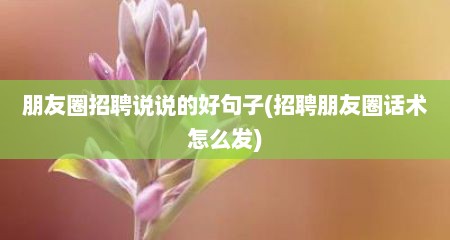 朋友圈招聘说说的好句子(招聘朋友圈话术怎么发)
