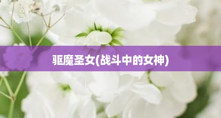 驱魔圣女(战斗中的女神)