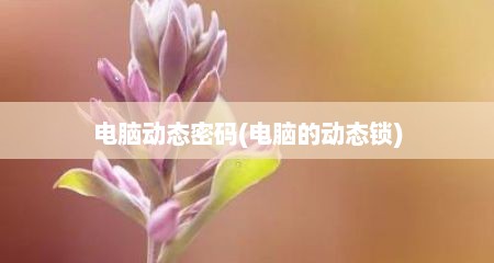 电脑动态密码(电脑的动态锁)