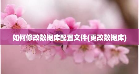 如何修改数据库配置文件(更改数据库)
