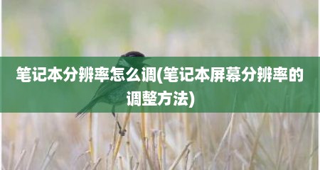 笔记本分辨率怎么调(笔记本屏幕分辨率的调整方法)