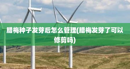 腊梅种子发芽后怎么管理(腊梅发芽了可以修剪吗)