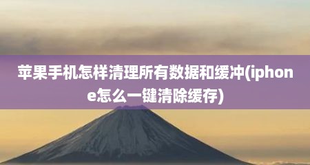 苹果手机怎样清理所有数据和缓冲(iphone怎么一键清除缓存)