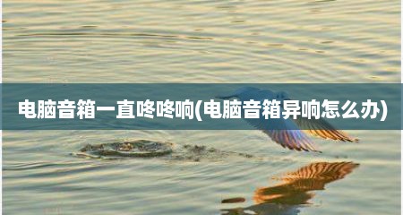 电脑音箱一直咚咚响(电脑音箱异响怎么办)