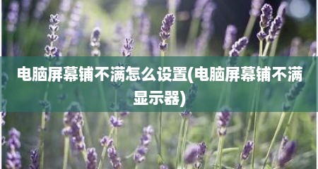 电脑屏幕铺不满怎么设置(电脑屏幕铺不满显示器)