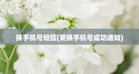 换手机号短信(更换手机号成功通知)