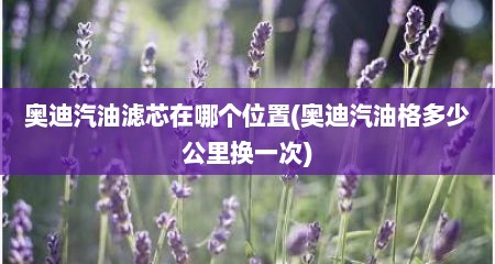奥迪汽油滤芯在哪个位置(奥迪汽油格多少公里换一次)