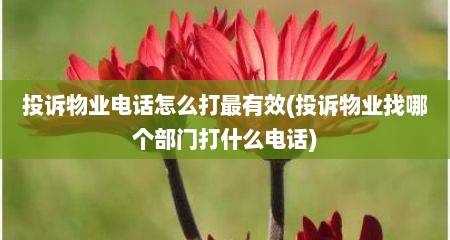 投诉物业电话怎么打最有效(投诉物业找哪个部门打什么电话)