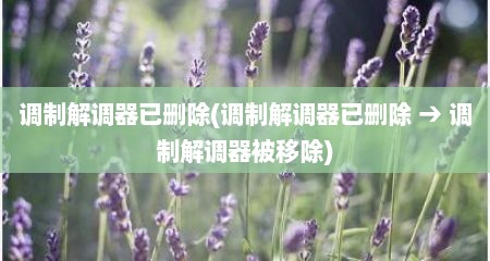 调制解调器已删除(调制解调器已删除 → 调制解调器被移除)