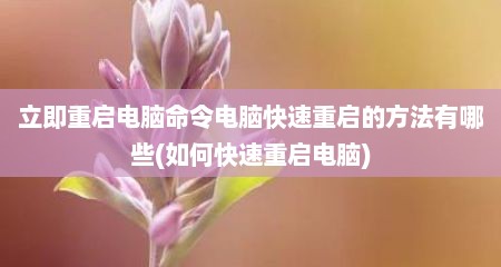 立即重启电脑命令电脑快速重启的方法有哪些(如何快速重启电脑)