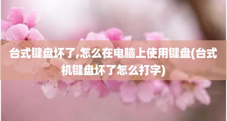 台式键盘坏了,怎么在电脑上使用键盘(台式机键盘坏了怎么打字)