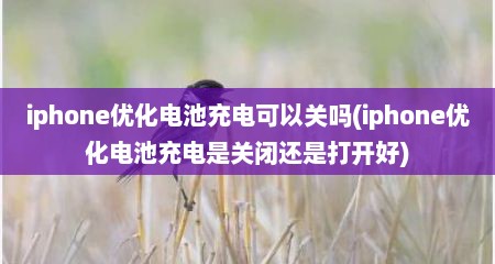iphone优化电池充电可以关吗(iphone优化电池充电是关闭还是打开好)