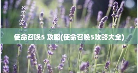 使命召唤5 攻略(使命召唤5攻略大全)