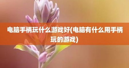 电脑手柄玩什么游戏好(电脑有什么用手柄玩的游戏)