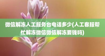 微信解冻人工服务台电话多少(人工客服帮忙解冻微信微信解冻要钱吗)